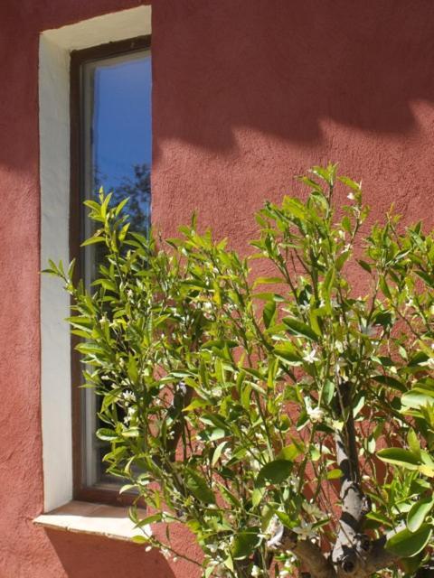 La Maison d'Allouma La Garde-Freinet Extérieur photo