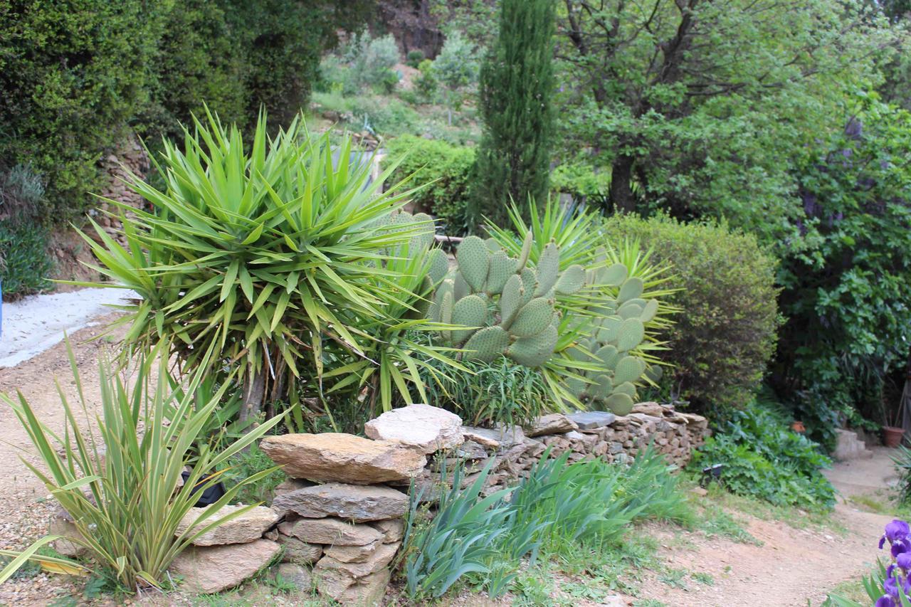 La Maison d'Allouma La Garde-Freinet Extérieur photo